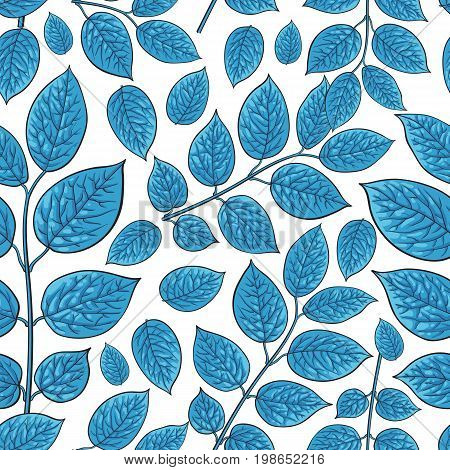 Seamless pattern of beautiful blue birch, honeysuckle leaves, twig, branches, sketch style vector illustration on white background. Hand drawn honeysuckle twig seamless pattern
