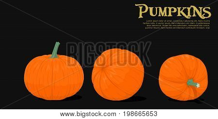 Isolated pumpkins on black background. For happy halloween