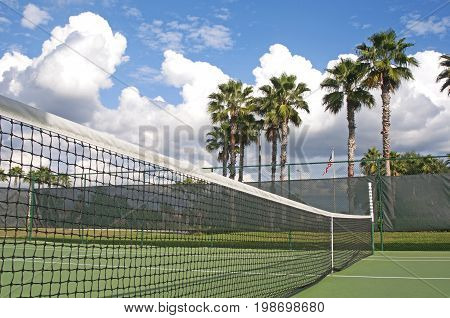 Tennis court net with some palm trees in the background, on a sunny and cloudy summer afternoon. Tampa, Florida, USA.