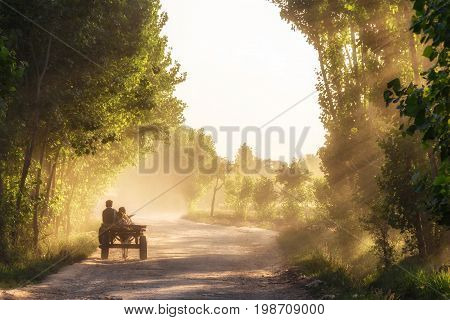 Couple of boys returning home on their donkey cart in a village of Pakistan.