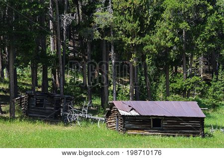 Abandoned Homestead Cabins in the Colorado Rocky Mountains