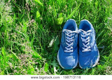 Summer sports composition with blue sneakers on green grass background. Concept healthy lifestyle sport and diet in summer spring outdoor running.