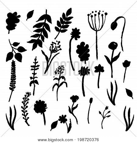 Vector floral set. Graphic collection with leaves and flowers, drawing elements. Spring or summer design for invitation, wedding or greeting cards.