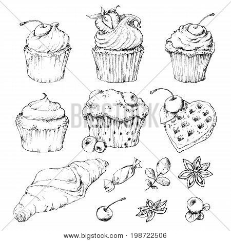 A set of croissants, cappucci with fruits and chocolate, berries, candies. Vector illustration. Hand drawing.