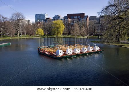Stagno nel giardino di Boston Common