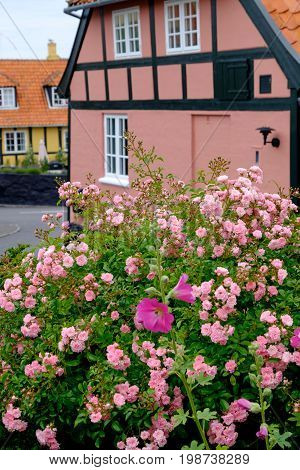 summer on the danish Island of bornholm