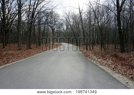 A paved road leads to picnic areas in the Hammel Woods Forest Preserve in Shorewood, Illinois, during December.