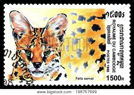 STAVROPOL RUSSIA - August 04 2017 : A Postage Stamp Printed in the Cambodia shows Felis (felis serval) series circa 1998