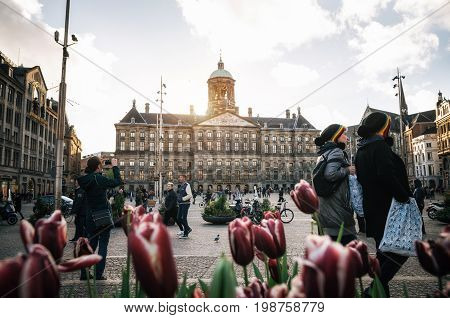 Amsterdam Netherlands - 25 April 2017: Royal Palace on the Dam Square on background of couple of tourist in rastaman hats and tulips in the evening. Amsterdam Netherlands