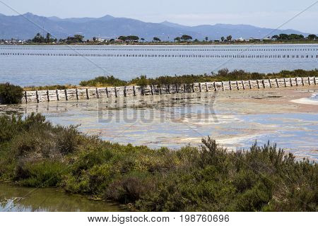QUARTU S..E: overview of salt in the Molentargius Regional Park - Sardinia