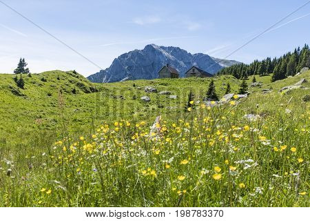View from Auernig Alm with old huts on Nassfeld in Carnic Alps to mountain Rosskofel