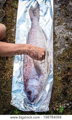 Preparing Big Dentex Fish For Barbecue Cooking On Picnic Outside.