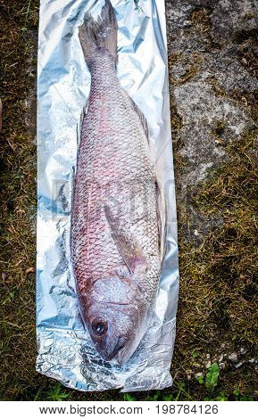 Preparing Big Dentex Fish For Barbecue Cooking On Picnic Outside.