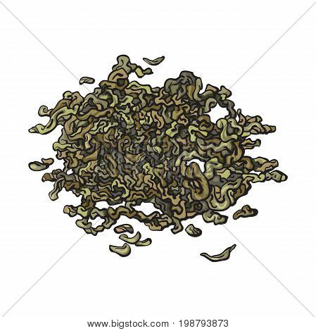 Hand drawn pile, heap, handful of dry, fermented green tea leaves, sketch vector illustration isolated on white background. Realistic hand drawing of dry green tea leaves