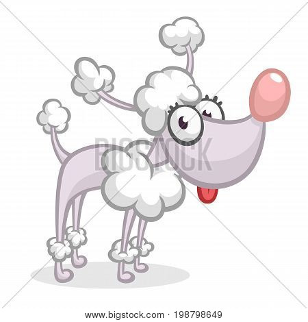 Gray cartoon poodle isolated on a white background. Vector character. All parts separated great for animation