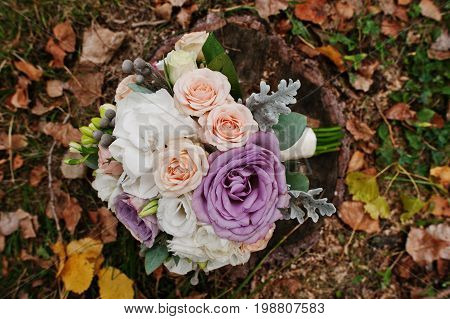 Close-up Photo Of An Incredible Wedding Bouquet Laying On The Stump. Fallen Leaves On The Background