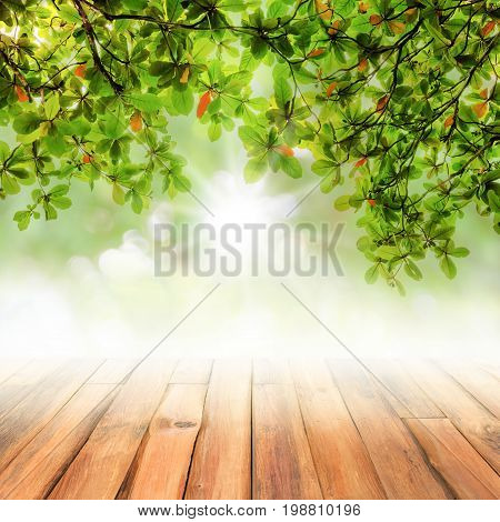 Blur green leaves with abstract bokeh natrue on wood floor background