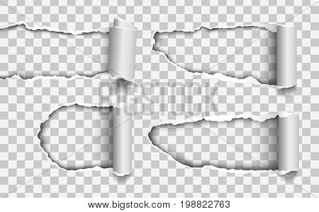 Set of vector holes torn in paper with rolled edges isolated on transparent background