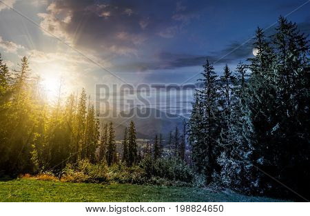 day and night time change concept. Spruce forest on a meadow in High Tatras mountain ridge. Beautiful sunny day in Poland Countryside