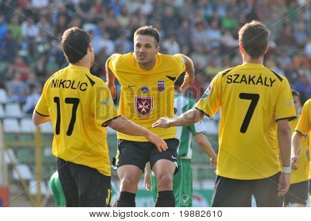KAPOSVAR ฮังการี - อาจ 1: ผู้เล่น Videoton ฉลองเป้าหมายในการชิงแชมป์แห่งชาติฮังการีดังนั้น