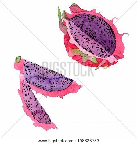 Exotic pitaya healthy food in a watercolor style isolated. Full name of the fruit: pitaya. Aquarelle wild frukt for background, texture, wrapper pattern or menu.