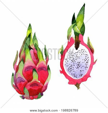 Exotic pitaya healthy food in a watercolor style isolated. Full name of the fruit: pitaya. Aquarelle wild frukt for background, texture, wrapper pattern or menu.