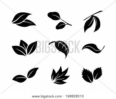 Set of black vector leaf icons on white background
