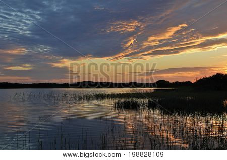 Summer scene at the west coast of Denmark.