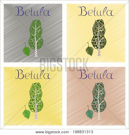 assembly flat shading style Illustrations of plant Betula