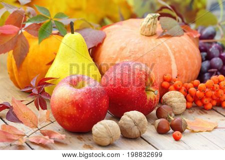 Autumn Still Life With Fruit, Vegetables, Berries And Nuts