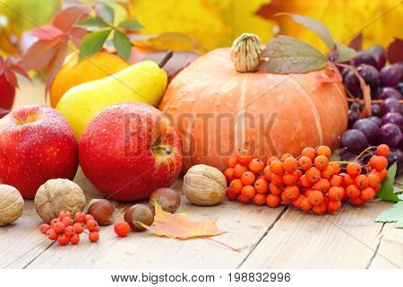 Autumn Still Life With Fruit, Vegetables, Berries And Nuts