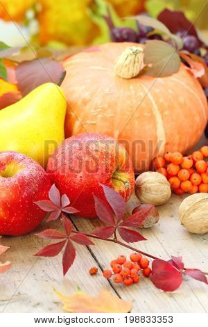 Autumn Still Life With Fruit, Vegetables, Berries And Nuts