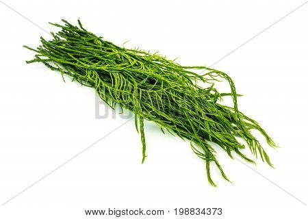 Cha Om Leaves green aromatic vegetable from Thailand
