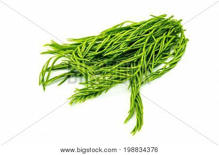 Cha Om Leaves green aromatic vegetable from Thailand