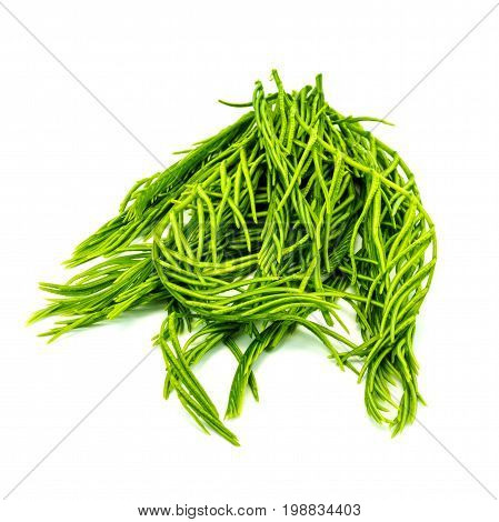 Cha Om Leaves green aromatic vegetable from Thailand