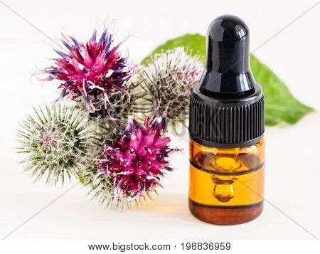 burdock oil in small glass bottle with pipette and burdock flowers on white wooden table