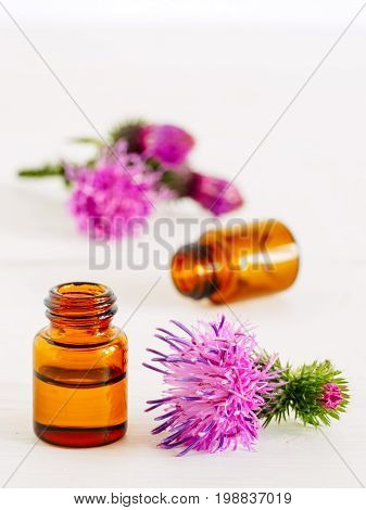 burdock oil in small glass bottle and burdock flowers on white wooden table