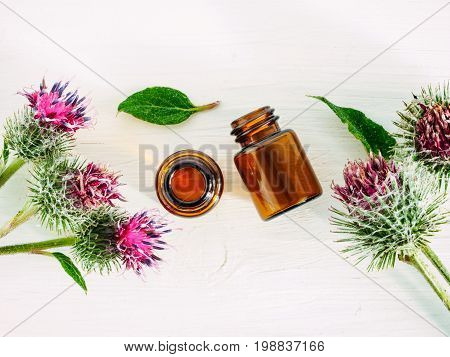 burdock oil in small glass bottle and burdock flowers on white wooden table. Top view or flat lay. Copy space.
