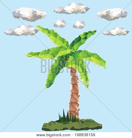 Polygonal palm and polygon clouds  with blue background