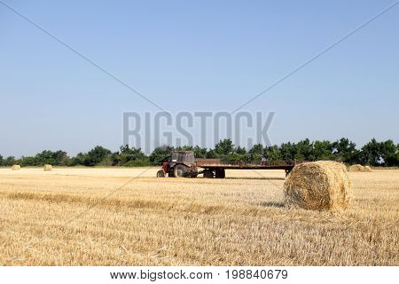 Tractor with hay. The tractor carrying hay. Bales of hay stacked in the cart.