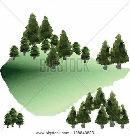 Polygon pines in forest. Green mountain landscape.