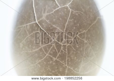 Cracked egg shell closeup texture. Crack eggshell pink toned photo. Broken egg abstract macrophoto. Toned shell texture with cracks. Health problem concept. Fragile life metaphor. Break x-ray view