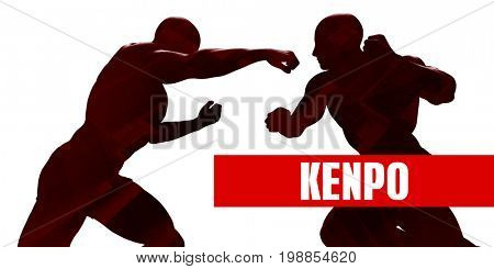 Kenpo Class with Silhouette of Two Men Fighting 3D Illustration Render