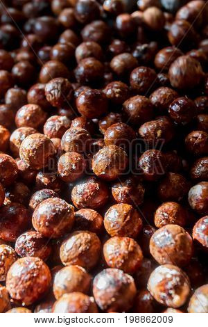 macadamian nuts farm, harvest time