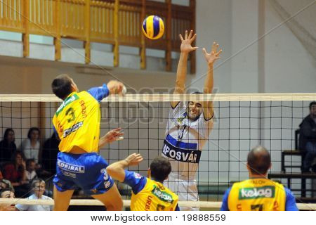 KAPOSVAR, Ungarn - 1 oktober: Jozsef Nagy (i hvidt) i aktion ved en Middle Europa League volleyba