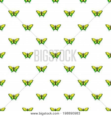 Goliath birdwing butterfly pattern in cartoon style. Seamless pattern vector illustration