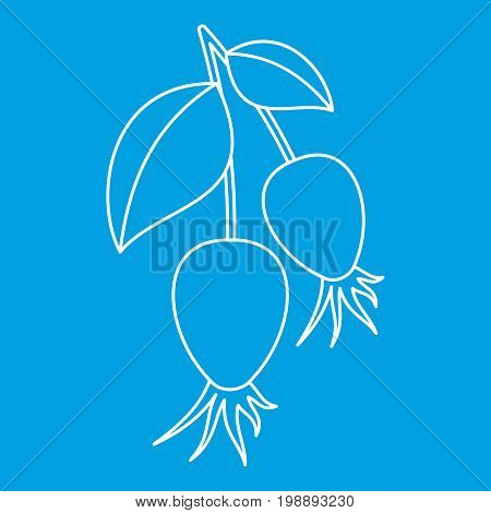 Dogrose berry bunch icon blue outline style isolated vector illustration. Thin line sign