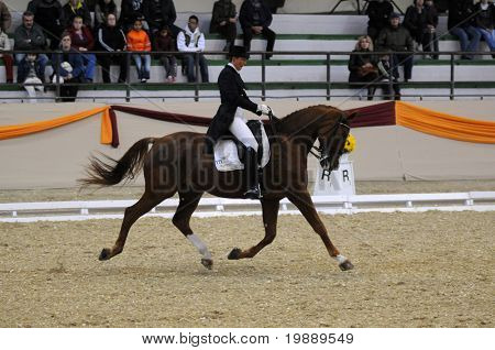 KAPOSVÁR, Maďarsko - 9. října: Heike Kemmer (GER) a její kůň (Quanticu) v herně drezuře