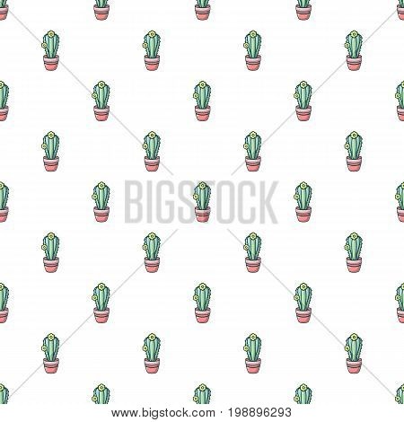 Notocactus pattern in cartoon style. Seamless pattern vector illustration