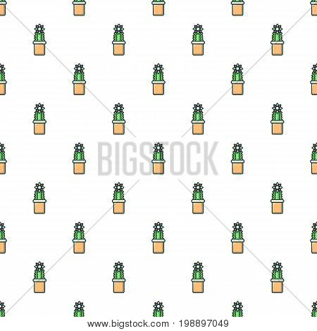 Lophophora cactus pattern in cartoon style. Seamless pattern vector illustration